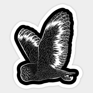 White Owl Sticker